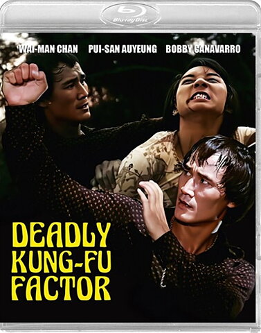 Deadly Kung-Fu Factor (BLU-RAY)