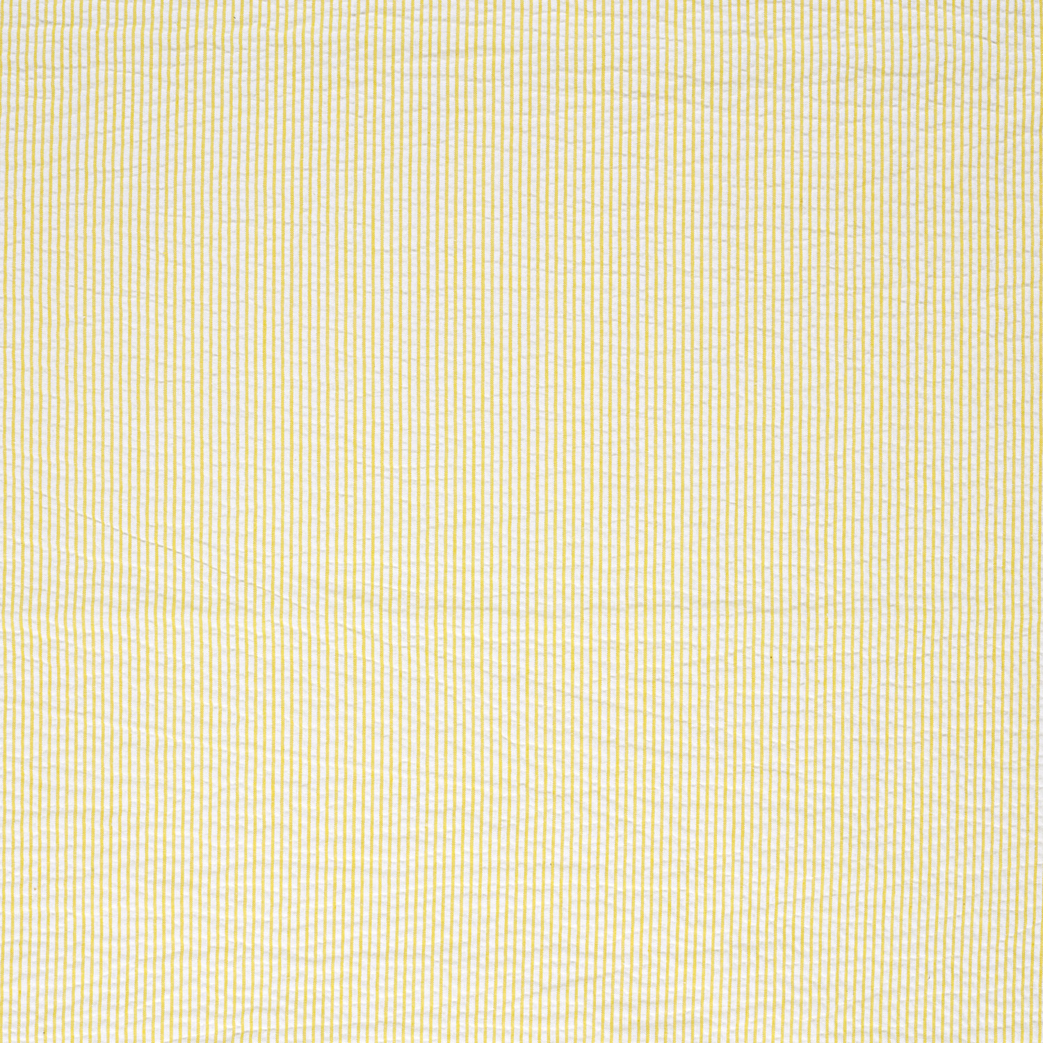 BÄCKEBÖLJA -  YELLOW STRIPE - 2
