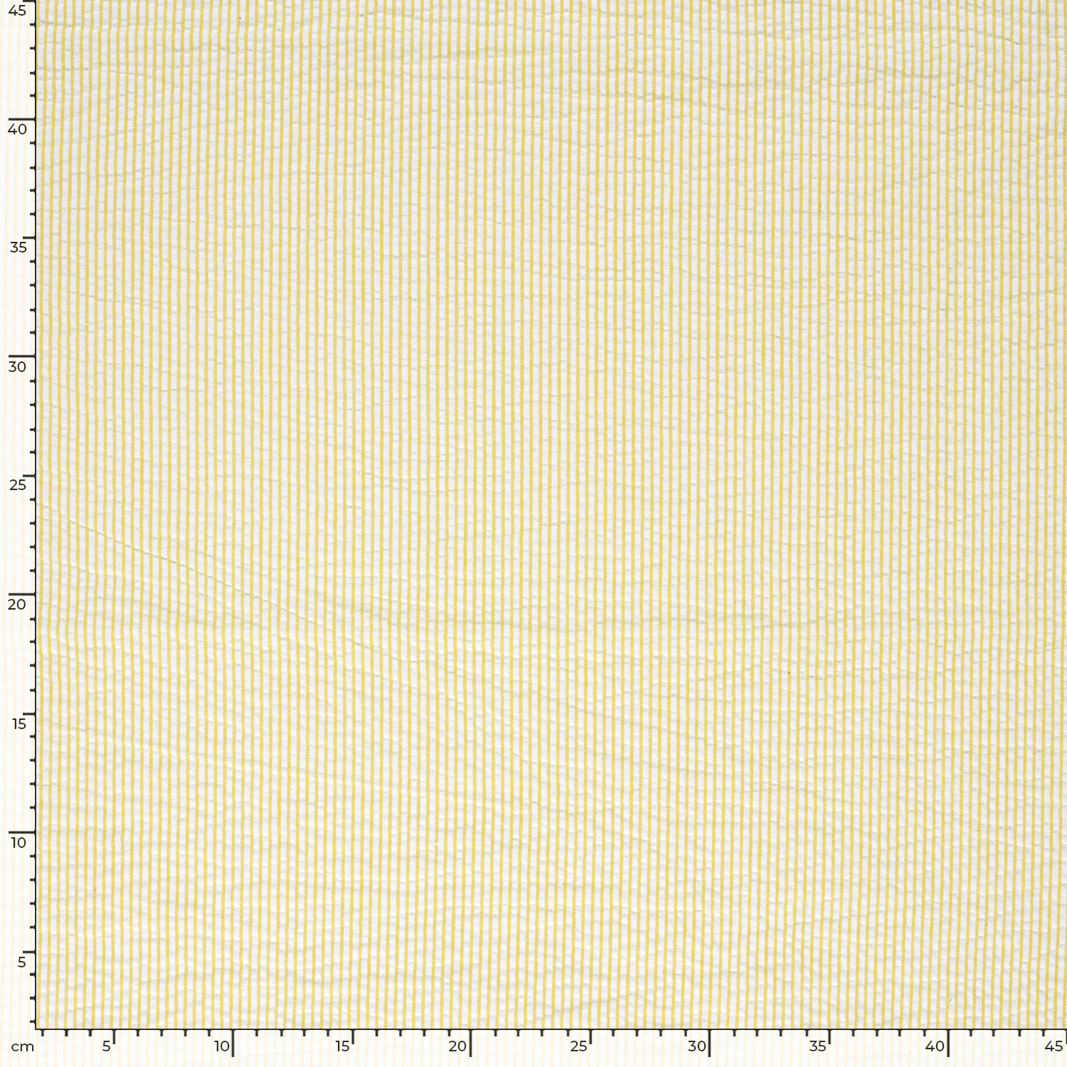 BÄCKEBÖLJA -  YELLOW STRIPE - 5