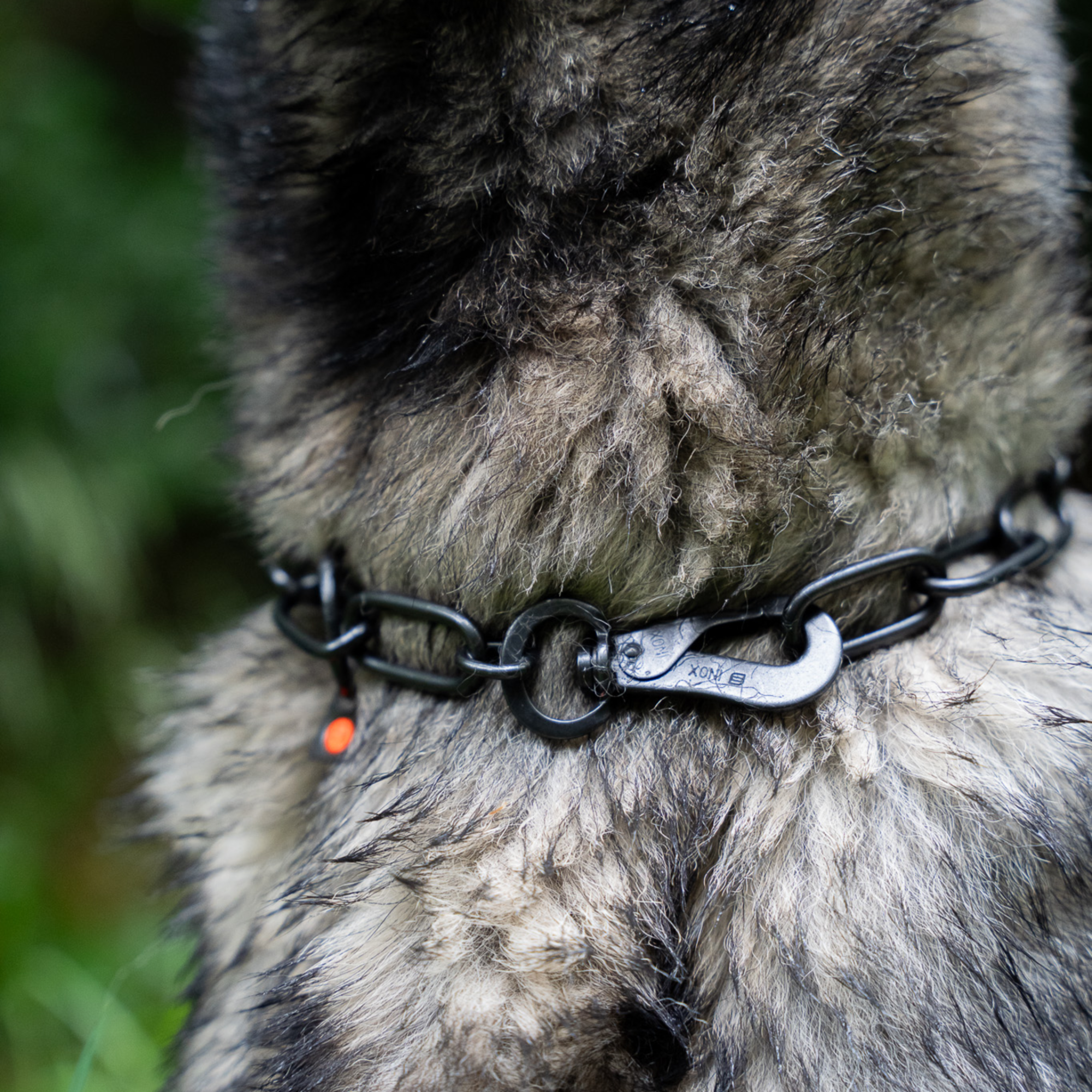 Collar, adjustable with hook 4mm black - Sprenger - 7