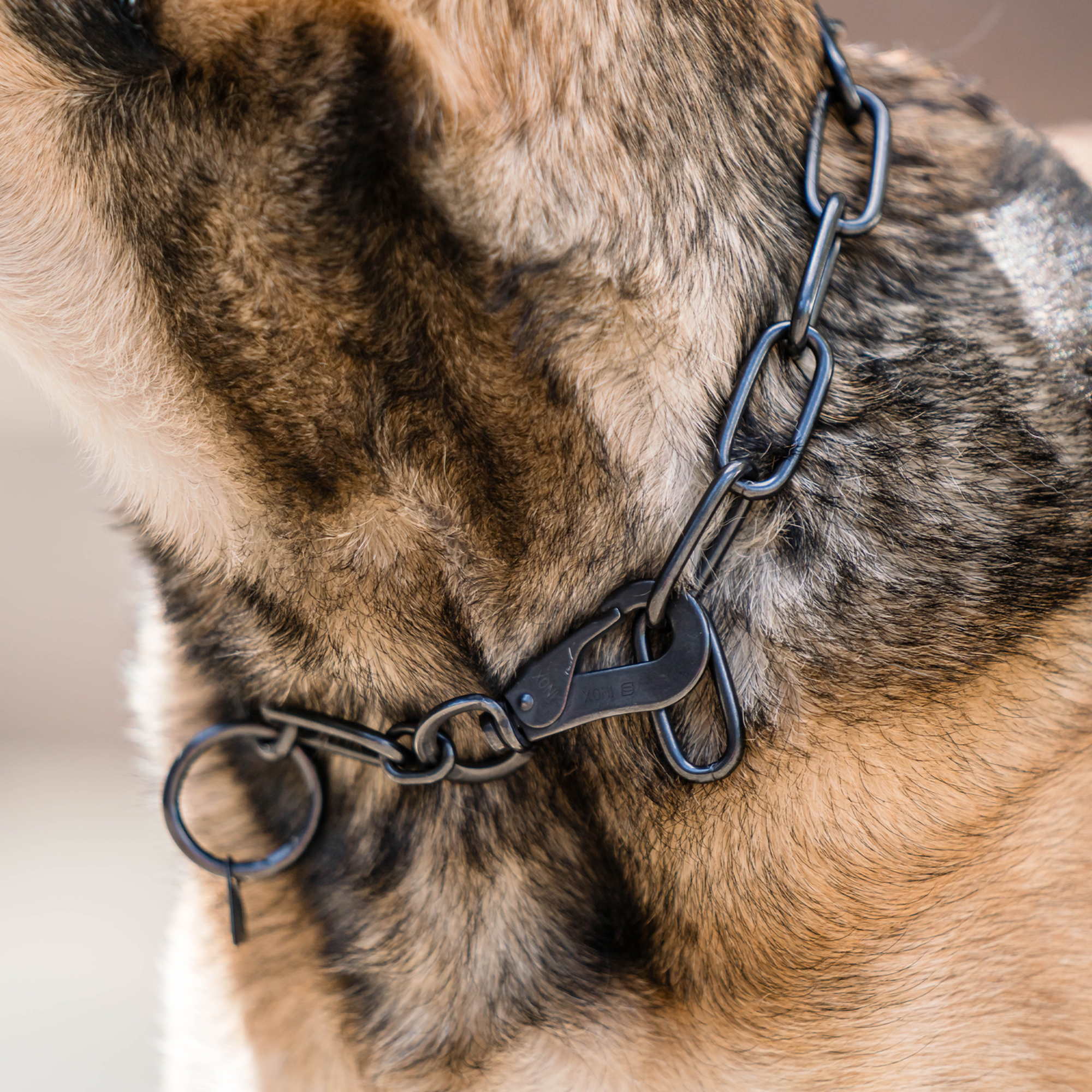Collar, adjustable with hook 4mm black - Sprenger - 3