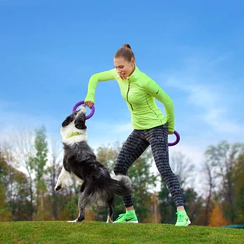 PULLER lila träningsringar till hund