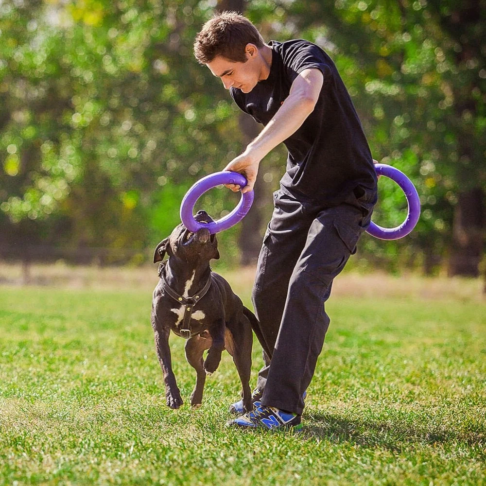 Träningsredskap till hund två lila ringar PULLER