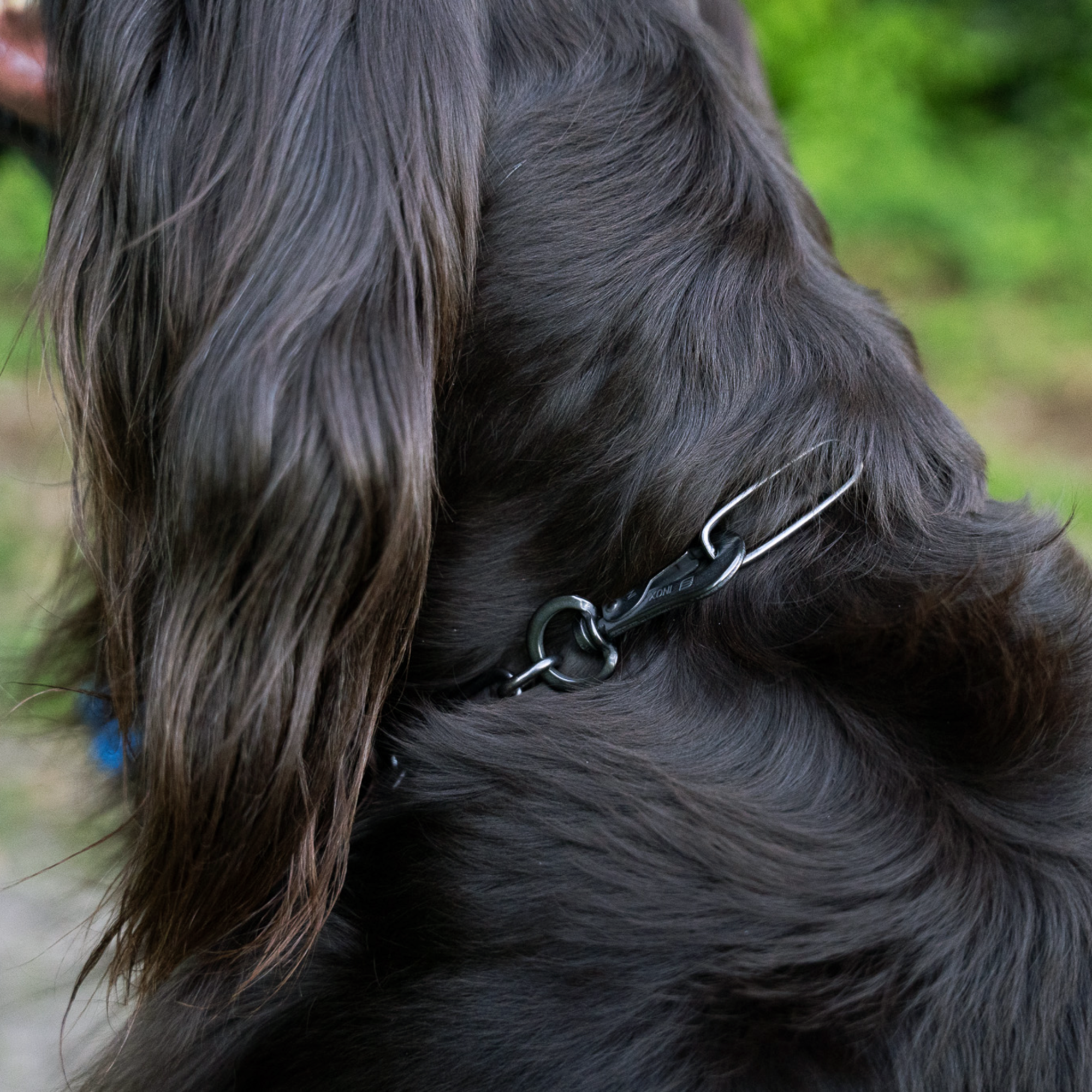 Collar, adjustable with hook 3mm black - Sprenger - 5