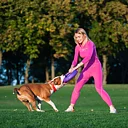Dog fitness tool PULLER maxi