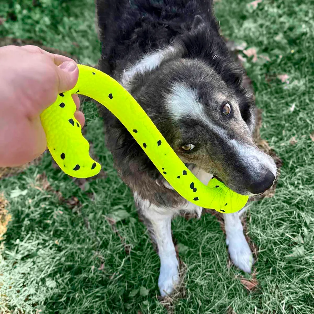 Kong Reflex Tug 'N Fetch 30,5x13,5x6cm - 2