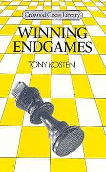 Antikvariskt - WInning Endgames