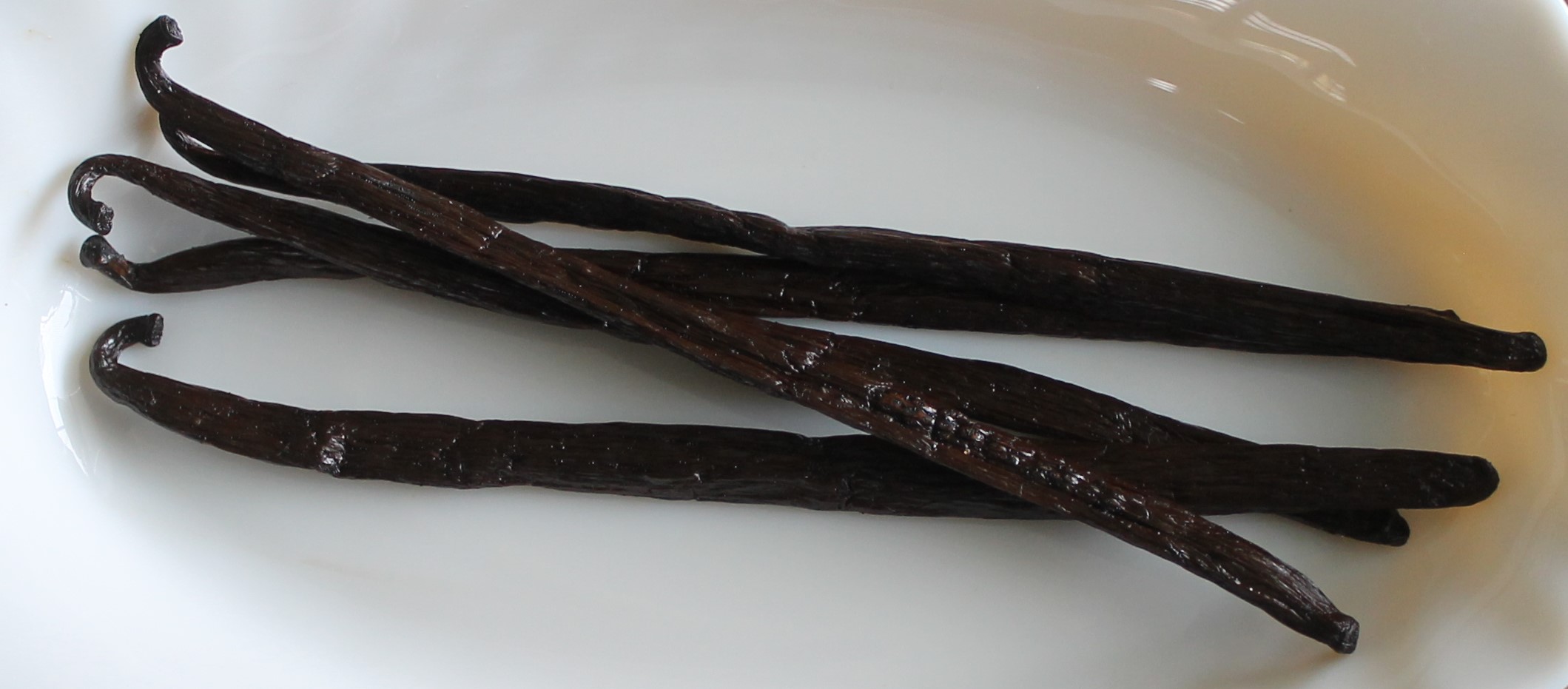 Ekologisk Bourbonvanilj Madagaskar, 16–20 cm - 5 st - 2