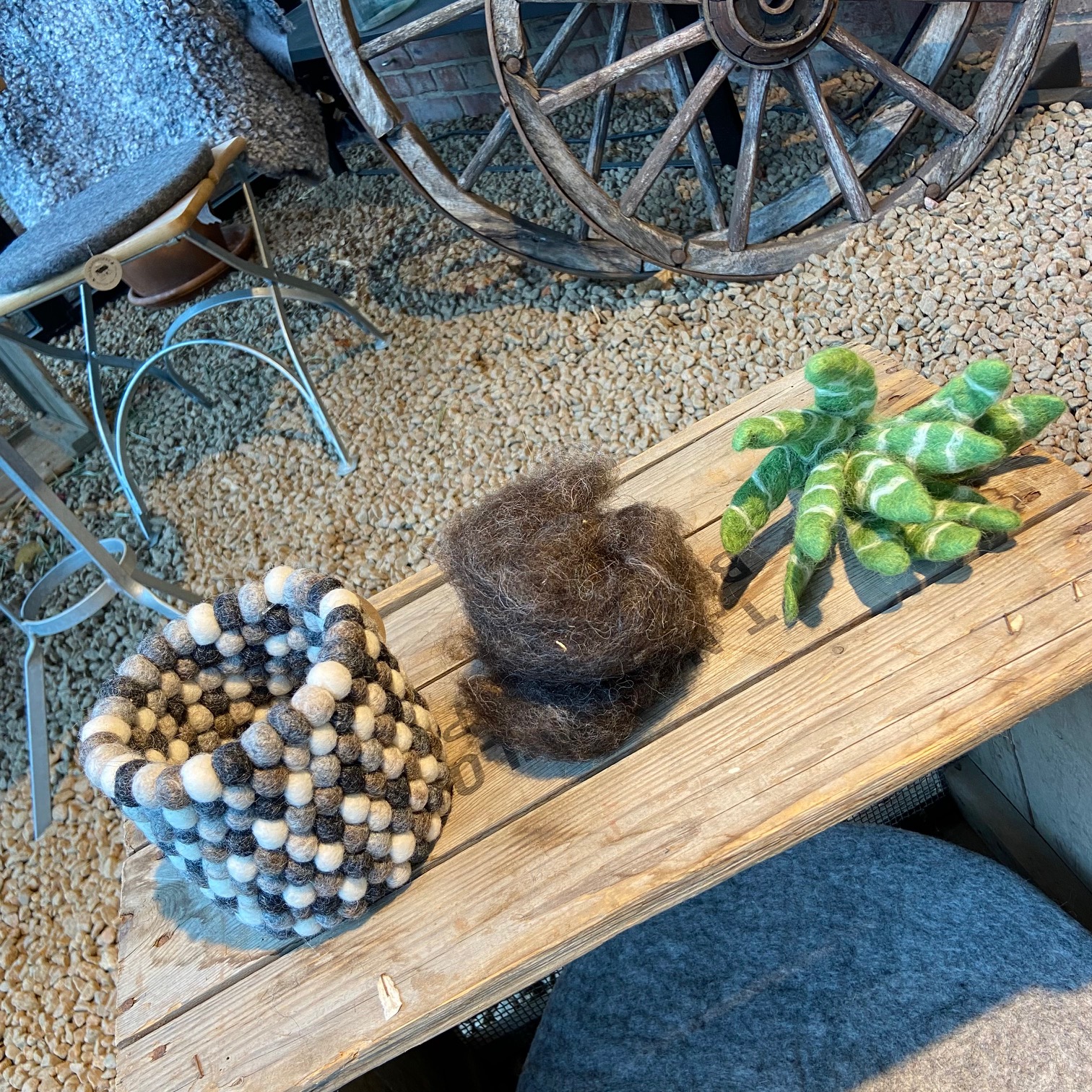 Aloevera växt med jord och kruka helt i ull - 6