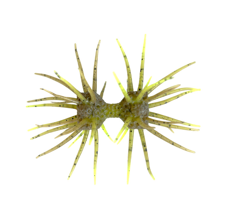 Imakatsu Dumbbell Crab Elastomer 2-pack - 11