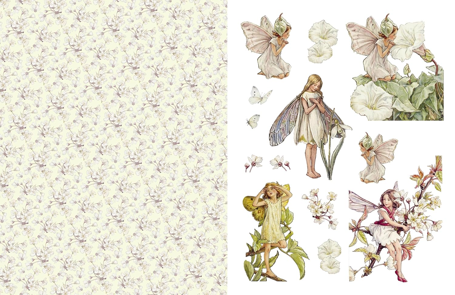  Cicely Mary Barker : Flower Fairies to Cut out and Collage - Over 500 Timeless Illustrations to Inspire Creativity - 3