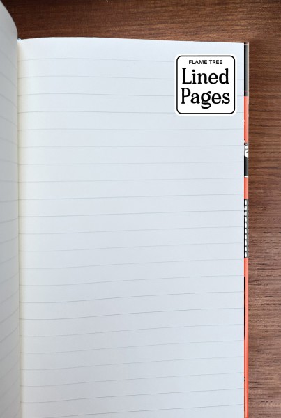 Moomin Bookshelves: Red (Foiled Slimline Journal) - 3
