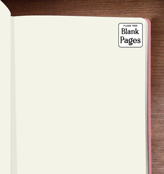 Moomin Love Artisan Art Blank Notebooks (Flame Tree Journals) - 2