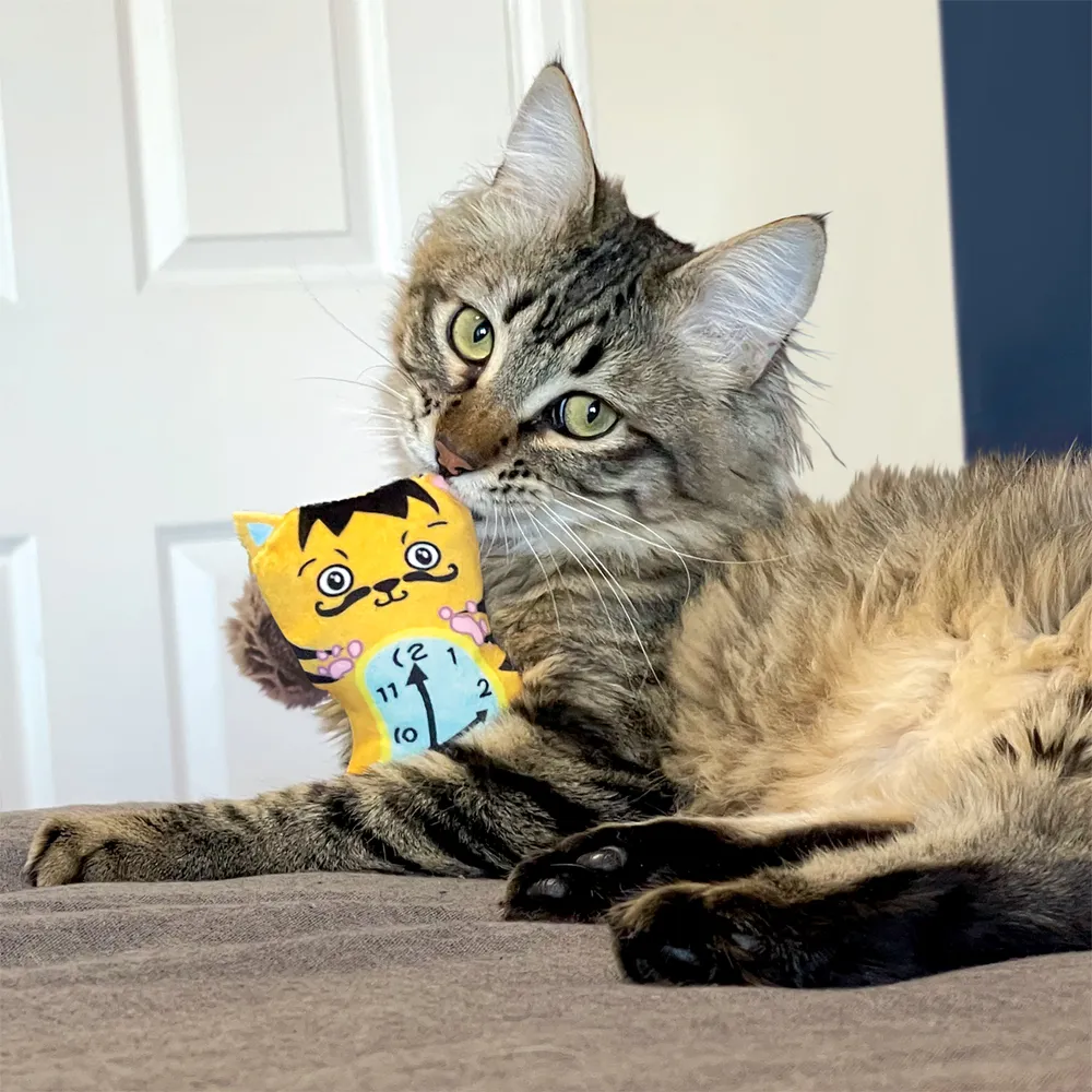 Kong Cat Artz Dali / Van Gogh 2-pack 19x19x2cm  - 3