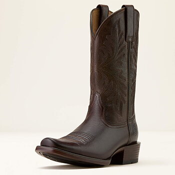 Ariat Renegade mens boots 