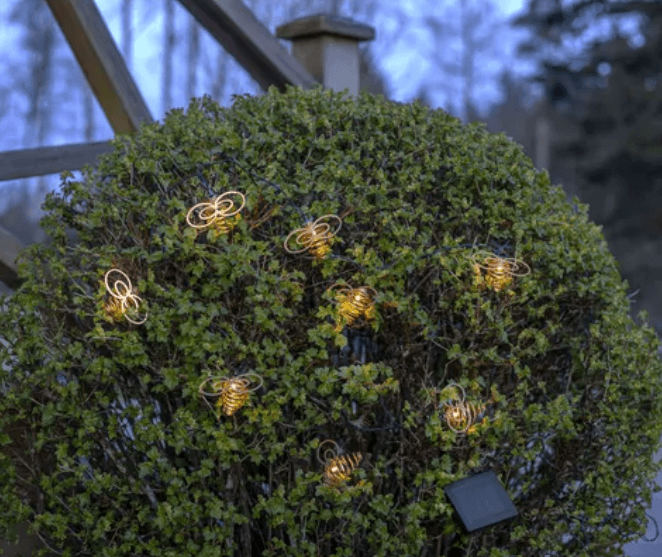 Warm glowing bee shaped solar string lights draped over a round garden bush in the evening.