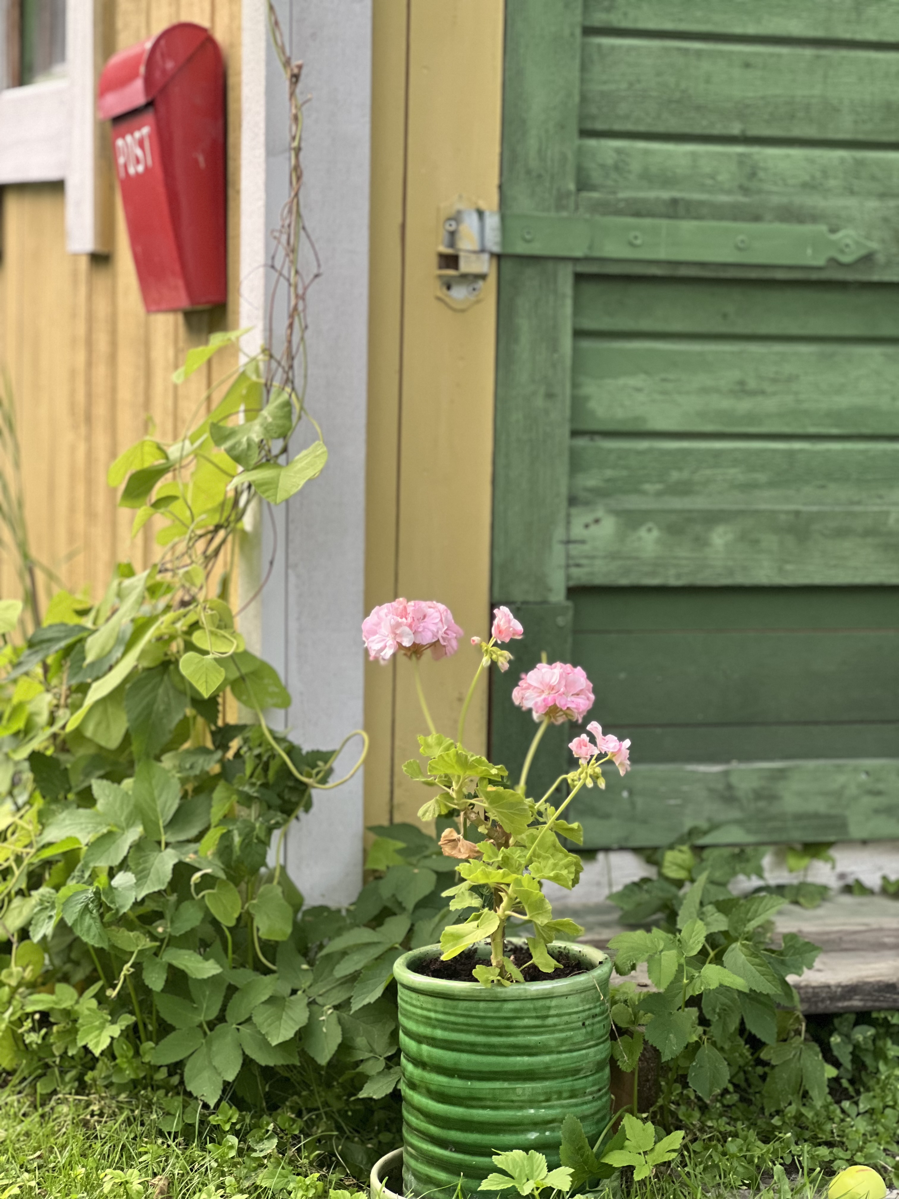 Inred lekstugan giftfritt: Bästa plastfria leksakerna för sommarens lekar - 2