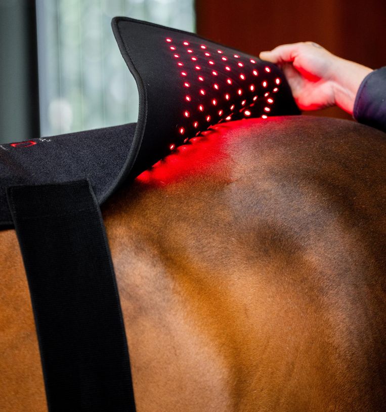 HORSEWARE PUNAINEN VALOTERAPIA-PADD - 4