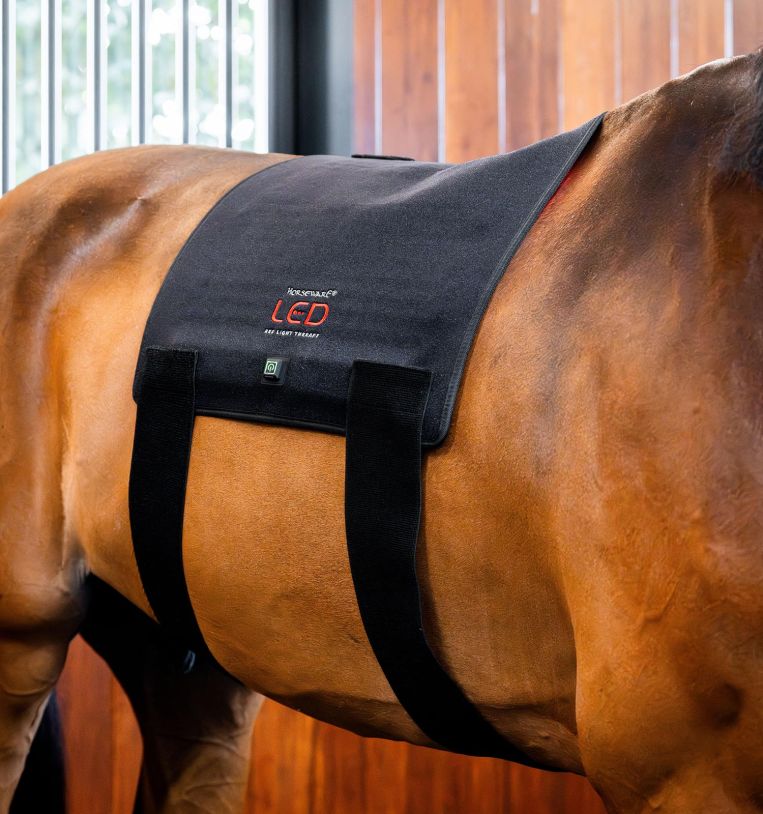 HORSEWARE PUNAINEN VALOTERAPIA-PADD - 8