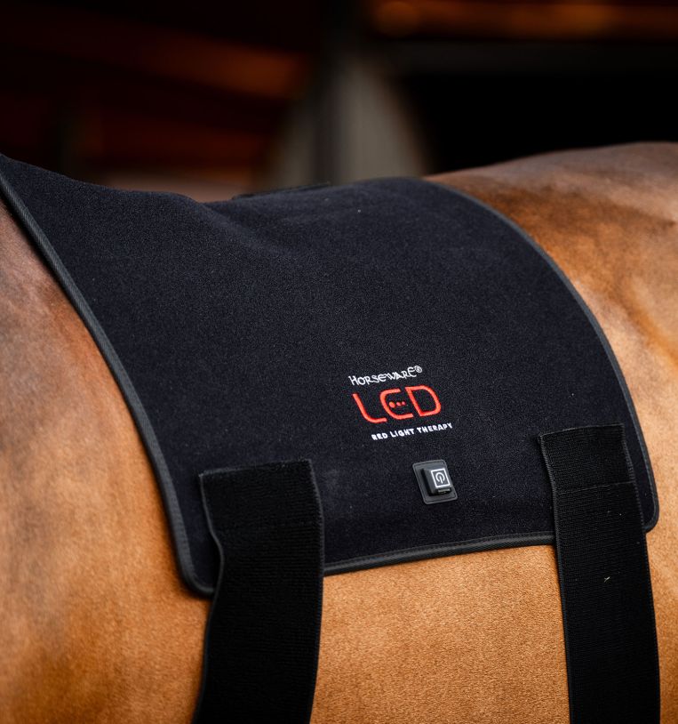 HORSEWARE PUNAINEN VALOTERAPIA-PADD - 3