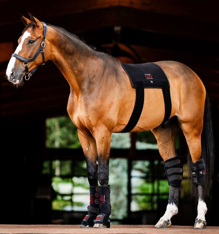 HORSEWARE PUNAINEN VALOTERAPIA-PADD - 6