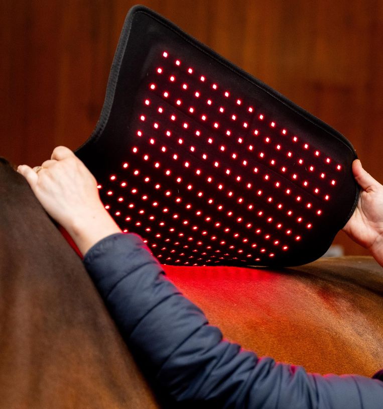 HORSEWARE PUNAINEN VALOTERAPIA-PADD - 7
