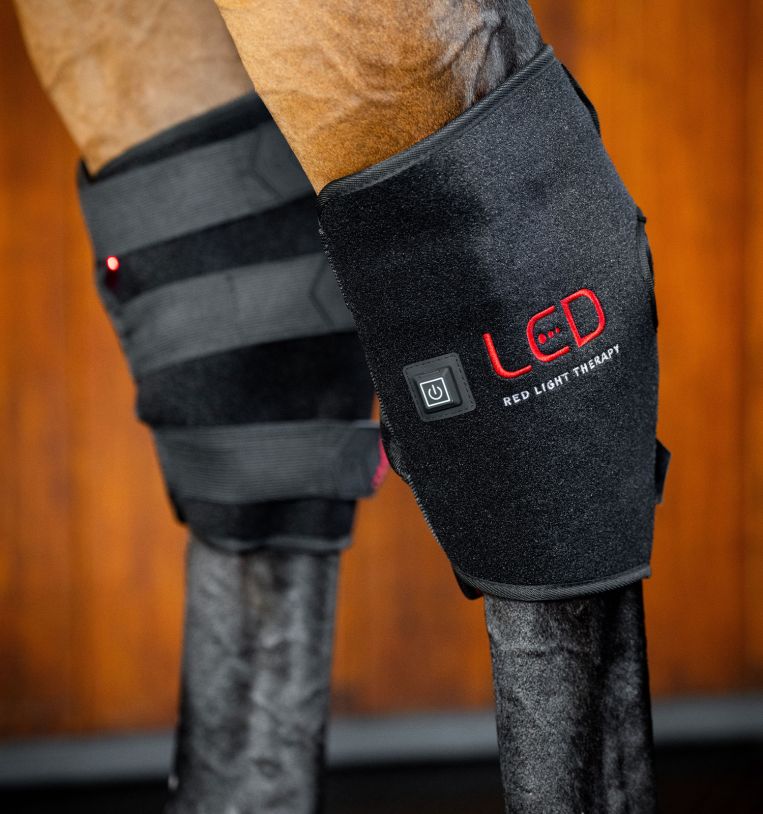 HORSEWARE RØD LYS-TERAPI HOOK