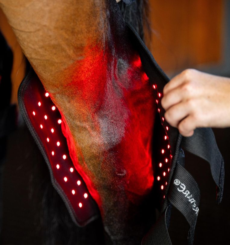 HORSEWARE RØD LYS-TERAPI HOOK - 2