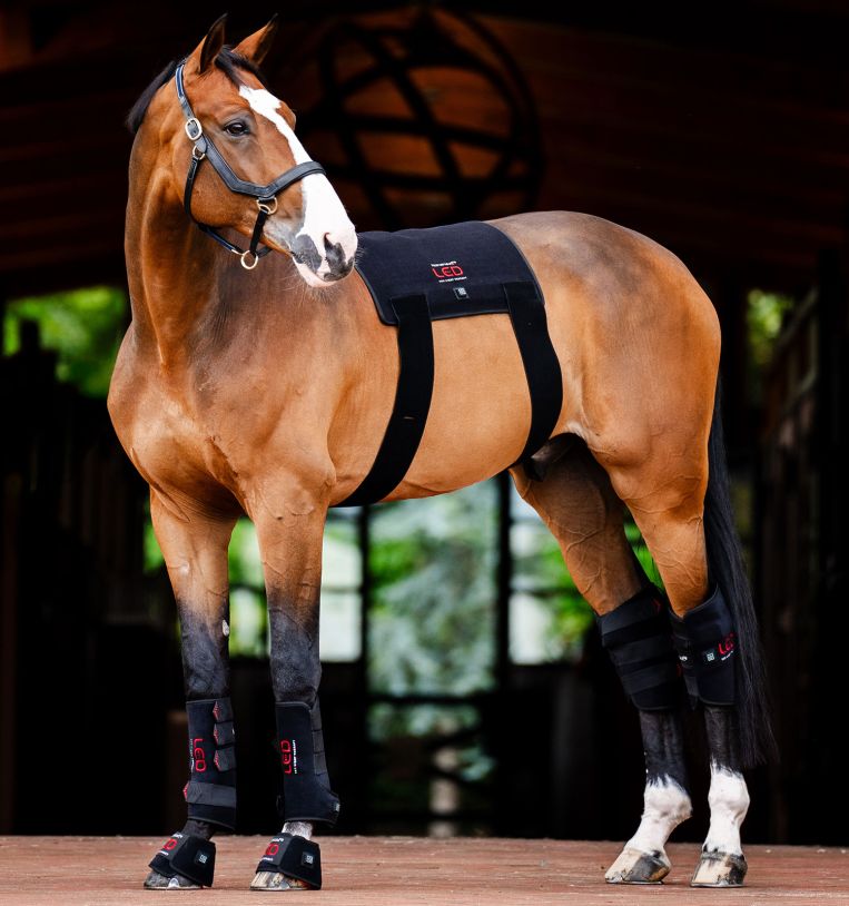 HORSEWARE RØD LYS-TERAPI BENBESKYTTELSE - 9