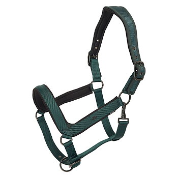 HV POLO Grimma Essential Duck Green