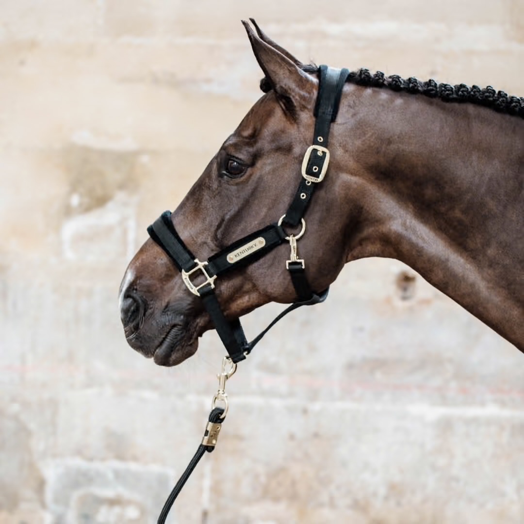 KENTUCKY  Grimskaft 2 m Svart - 3