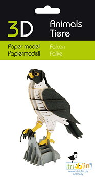 3D-papirmodel, Falk