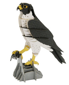 3D-papirmodel, Falk