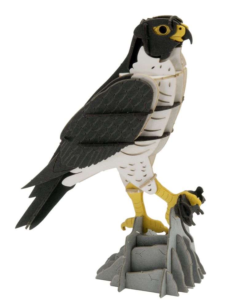 3D-papirmodel, Falk - 4