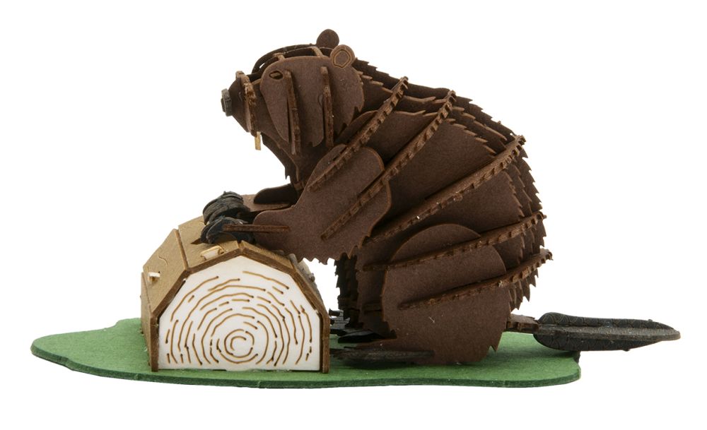 3D-papirmodel, Bæver - 5