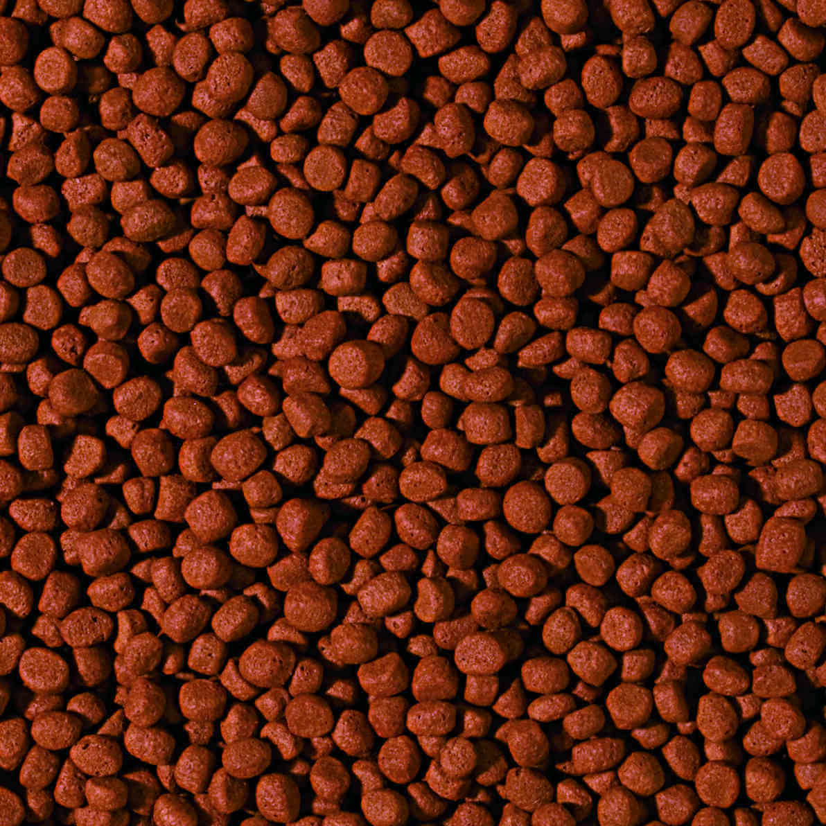 Tropical Cichlid Carnivore Medium Pellet 500ml/180g - 2