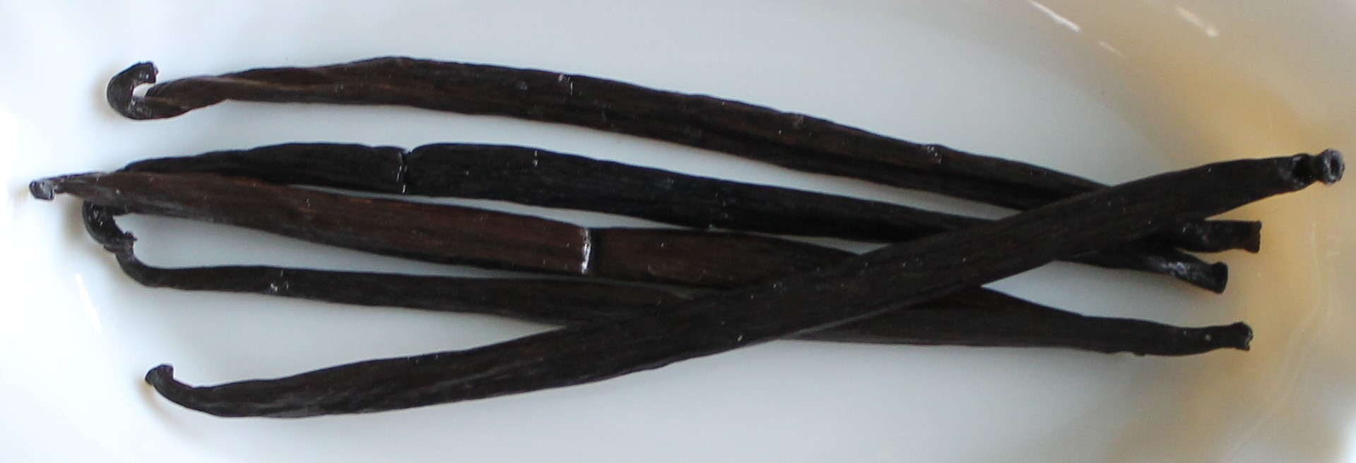 Vaniljstänger Tahiti (Vanilla Tahitiensis) 16–20 cm - 5 st - 2