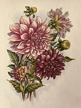 18x24 cm  Poster dahlia