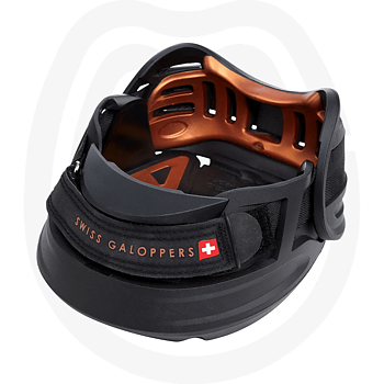 Swiss Galoppers 