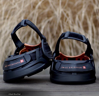 Swiss Galoppers 