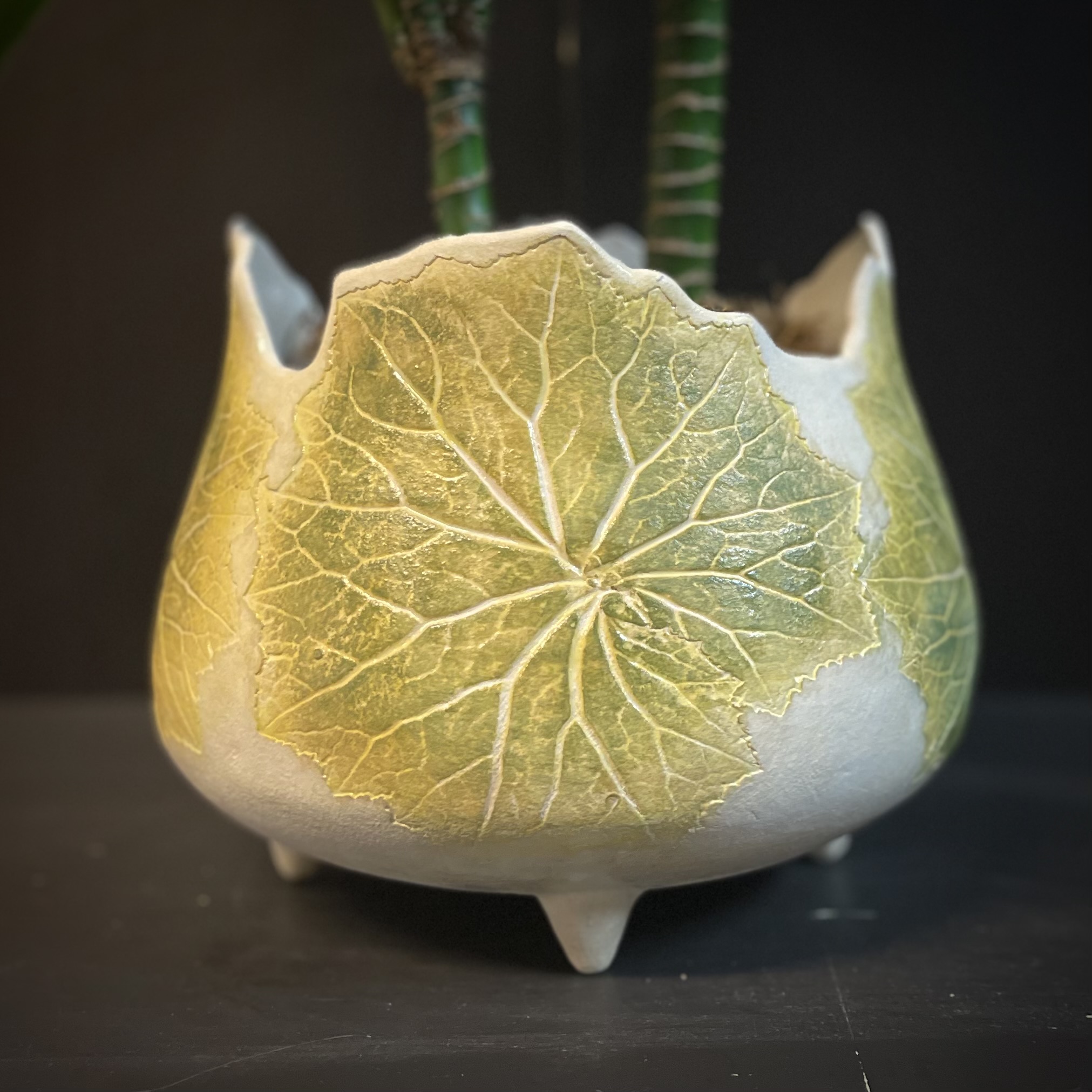  Krukke Lime Hestehov L