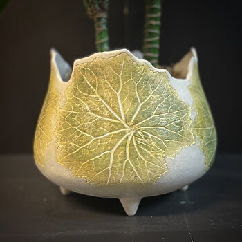  Krukke Lime Hestehov L