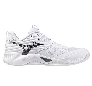 Mizuno Wave Momentum Pro Men white/metallic grey/black
