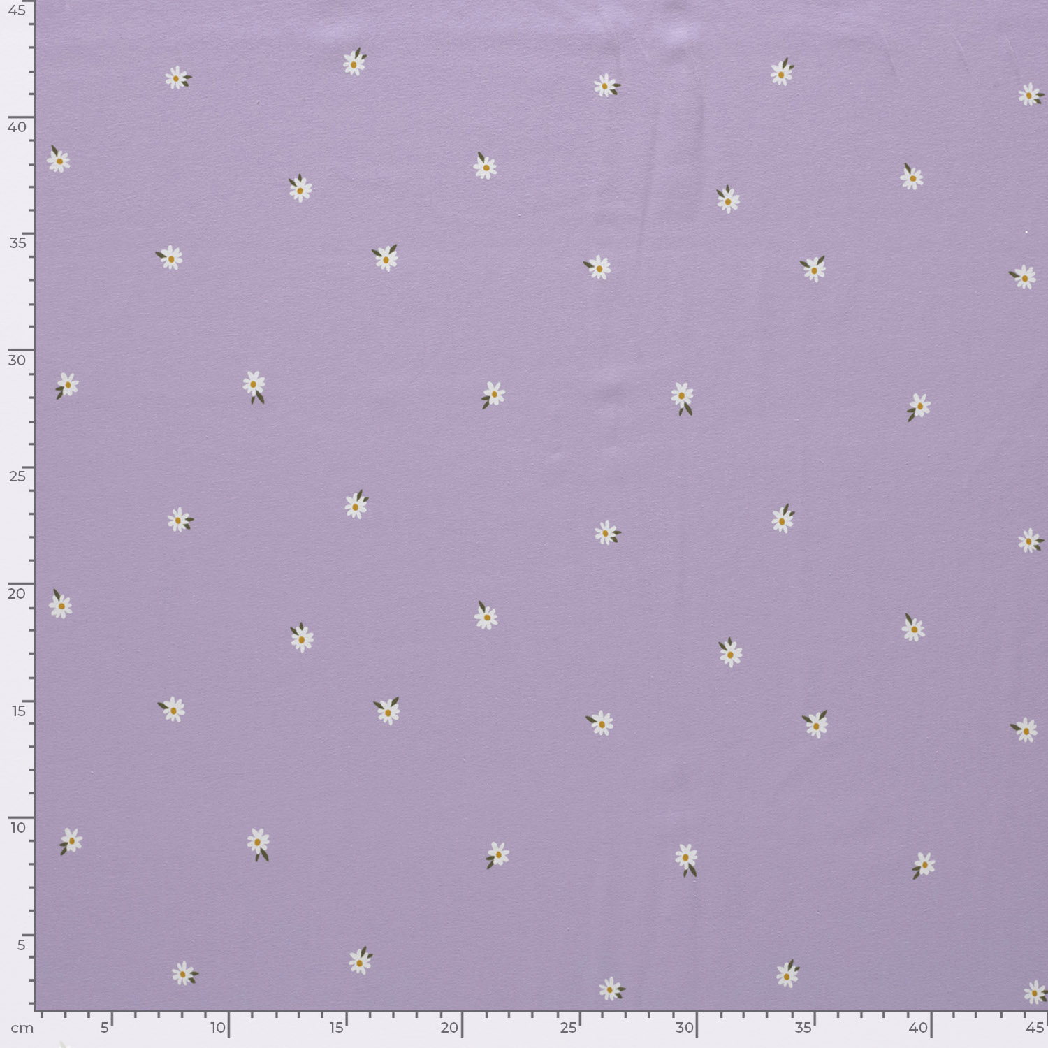 SWEET FLOWERS - PURPLE - 5