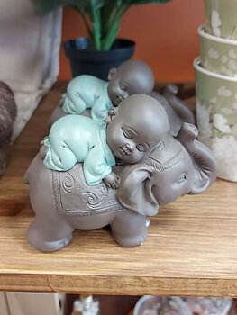 Lucky elephant