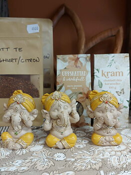 3 Ganesha