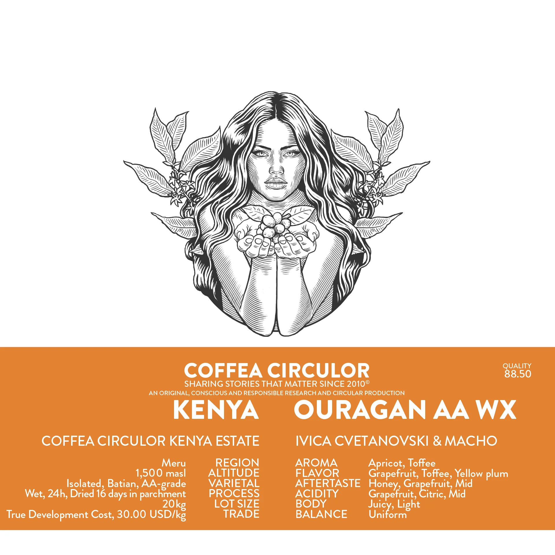 Coffea Circulor - Ouragan AA WX - Kenya - Ljusrostade hela kaffebönor - 250g