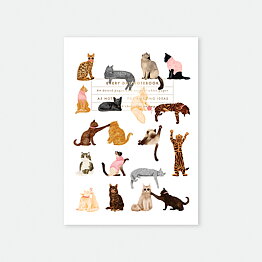 Meow anteckningsbok A5