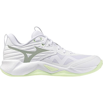 Mizuno Wave Momentum Pro W Inomhusskor