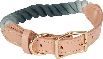 Companion Hundhalsband Combi-Rep Flerfärgad